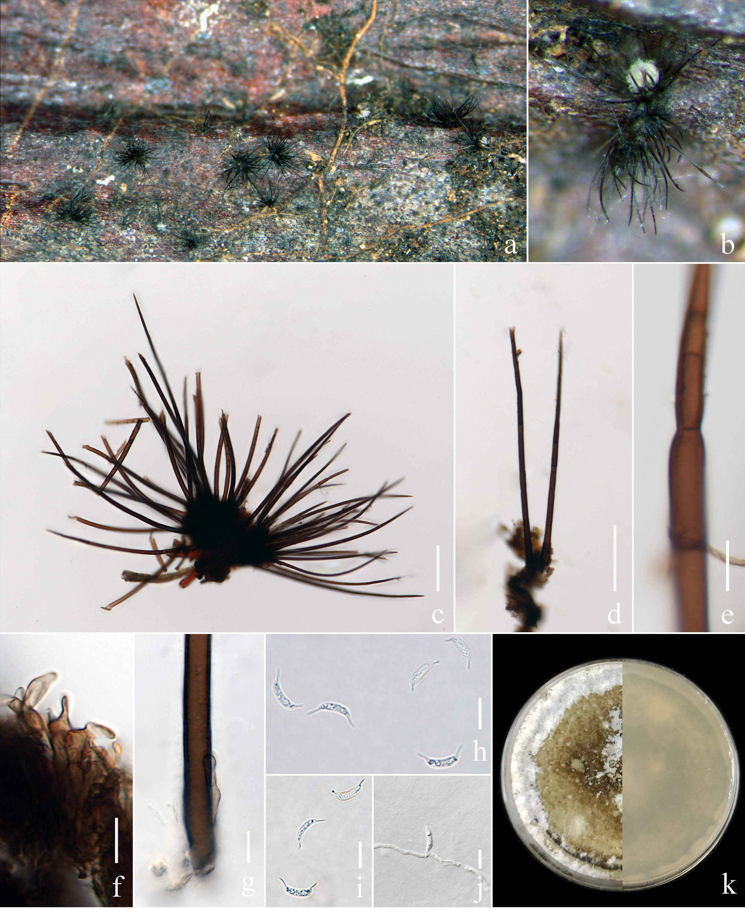 Figure 72